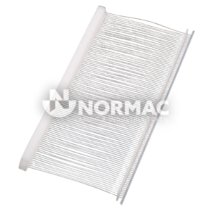 PINOS GP 50mm cx.10000 STD